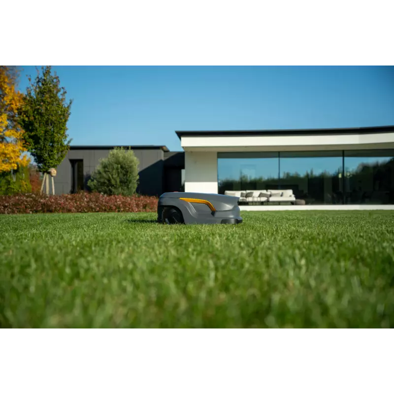 A50v_2R9113028_amb07_web